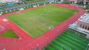 全球视野：意大利严格限制博彩广告后的社会效应分析。（国际视角：意大利严控博彩广告的社会影响评估）